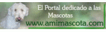 Amimascota.com, mascotas, perros, gatos
