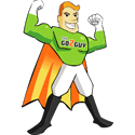 The Go2Guy Window Cleaners Cork