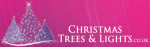Christmas Trees & Lights