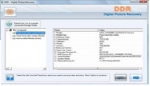 Recover images