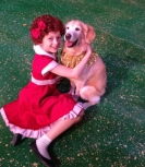 Dog Obedience Training