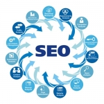 search Engine Optimization