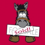 Horses for sale and equestrian classifieds UK