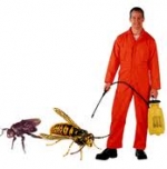 pest control