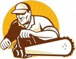Manassas Tree Service