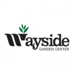 Garden Center Rochester NY- Landscaping