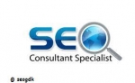 SEO Expert : Seogdk