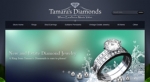Proficient Wordpress website development Company in USA