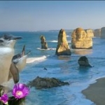 Phillip Island Tours Australia