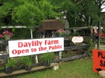 Eden Heirloom Gardens and Daylily Farm