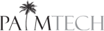 PalmTech Computer Solutions