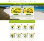 Isles Of Scilly Flowers