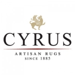 Cyrus Artisan Rugs | Area Rugs in Minneapolis