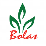 Bolas intelli solutions - Software development company India