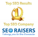 SEORAISERS - Best SEO Services in Chandigarh 