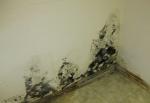 North London Fire Flood Restoration