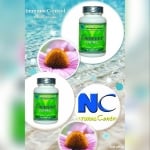 Natural supplement for blood levels health