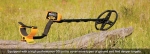Top Metal Detector Review