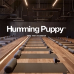 Humming Puppy