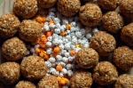 Makar Sankranti Important Pujas