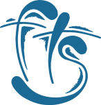 FTS Best Travel Deals
