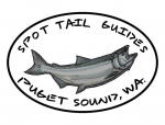 A Spot Tail Salmon Guide