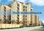 Luxury Flats Near Chandigarh