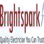 Professional Electrician