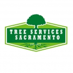 Tree Services Sacramento