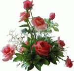 Occasionally flowers and gifts delivery