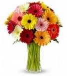 Send flowers to Agra