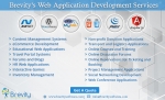 Custom Web Application Design and Development Company