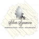 Silver Sycamore