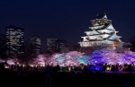 Things to do in Osaka