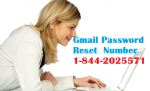 Gmail customer support Number for Password recovery