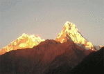 Ghorepani poon hill trek