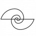 SFW Construction LLC