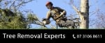 Pro Tree Removal Brisbane Qld