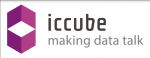 icCube software IIc