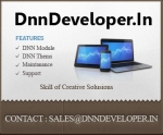 DotNetNuke / DNN WEB CMS Developer / Programmer / Consultant