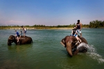 Jungle safari in Chitwan National Park