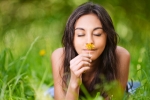 Virgin Breeze Environmental Solutions