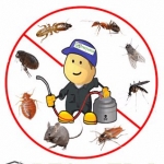 PestVeda  Effective Herbal Pest Control Company in Delhi