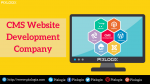 Custom CMS Web Development Company in India
