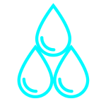 Roots Digital Pte Ltd - Digital Marketing Consultancy