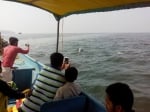 Island Boat Tour Goa