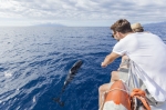4,5H Half-Day Dolphin and Whale Watching Tours In Tenerife