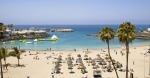 Plan A Holiday In Tenerife And Go For A 3-Hour Dolphin