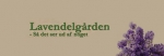 Lavendelgården - blomsterbutik i Bjæverskov