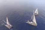 Welcome to the largest Catamarans in Tenerfie for whale